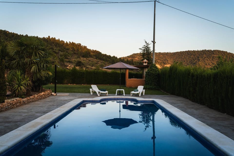 Garden, Swimming pool, sunbed