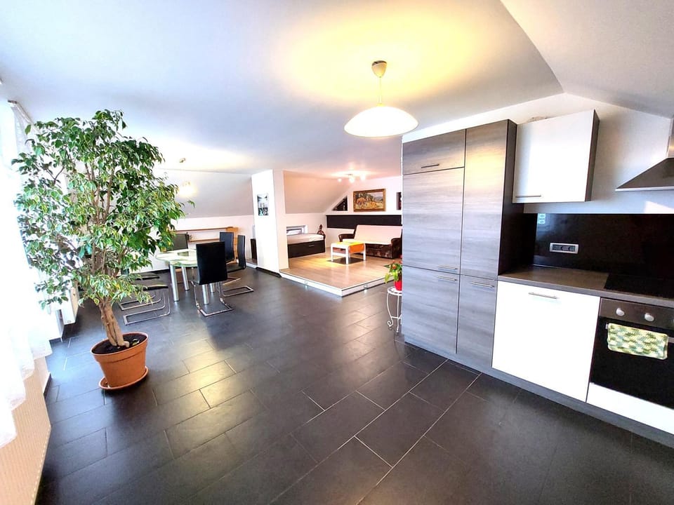 Kitchen or kitchenette, Dining area, pet friendly, stove