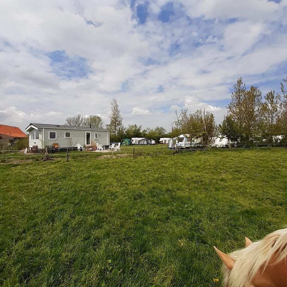 Chalet Weizicht op minicamping Hoogelande Chalet in Zeeland, Netherlands