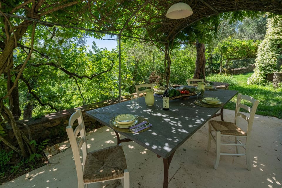 Garden, Garden view