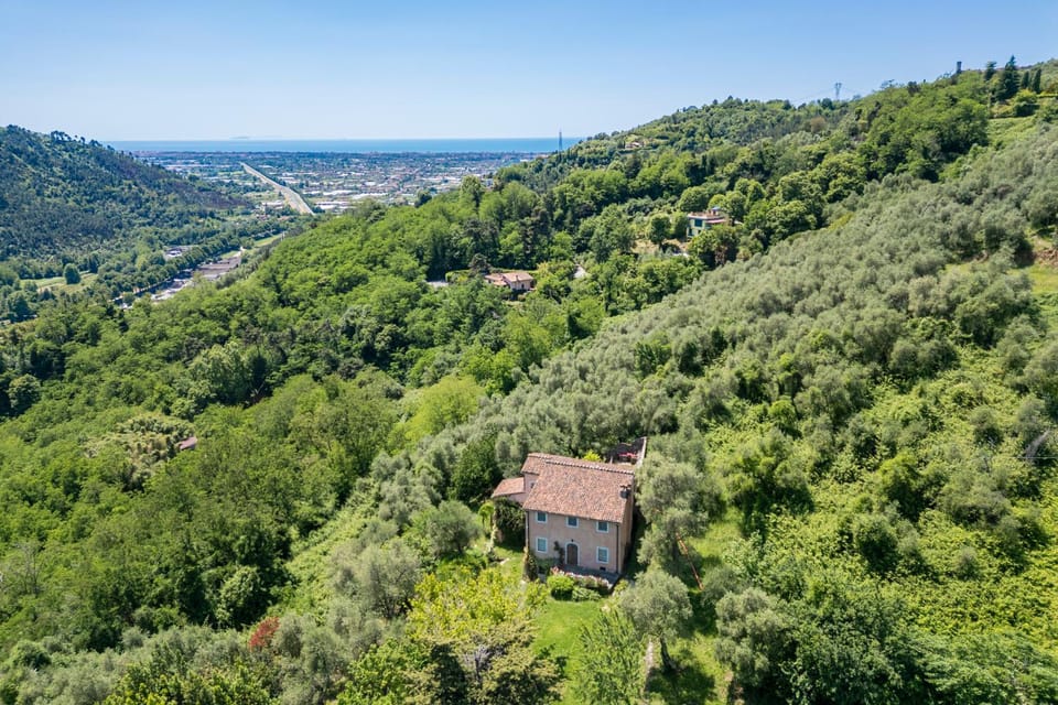 Natural landscape, Bird's eye view