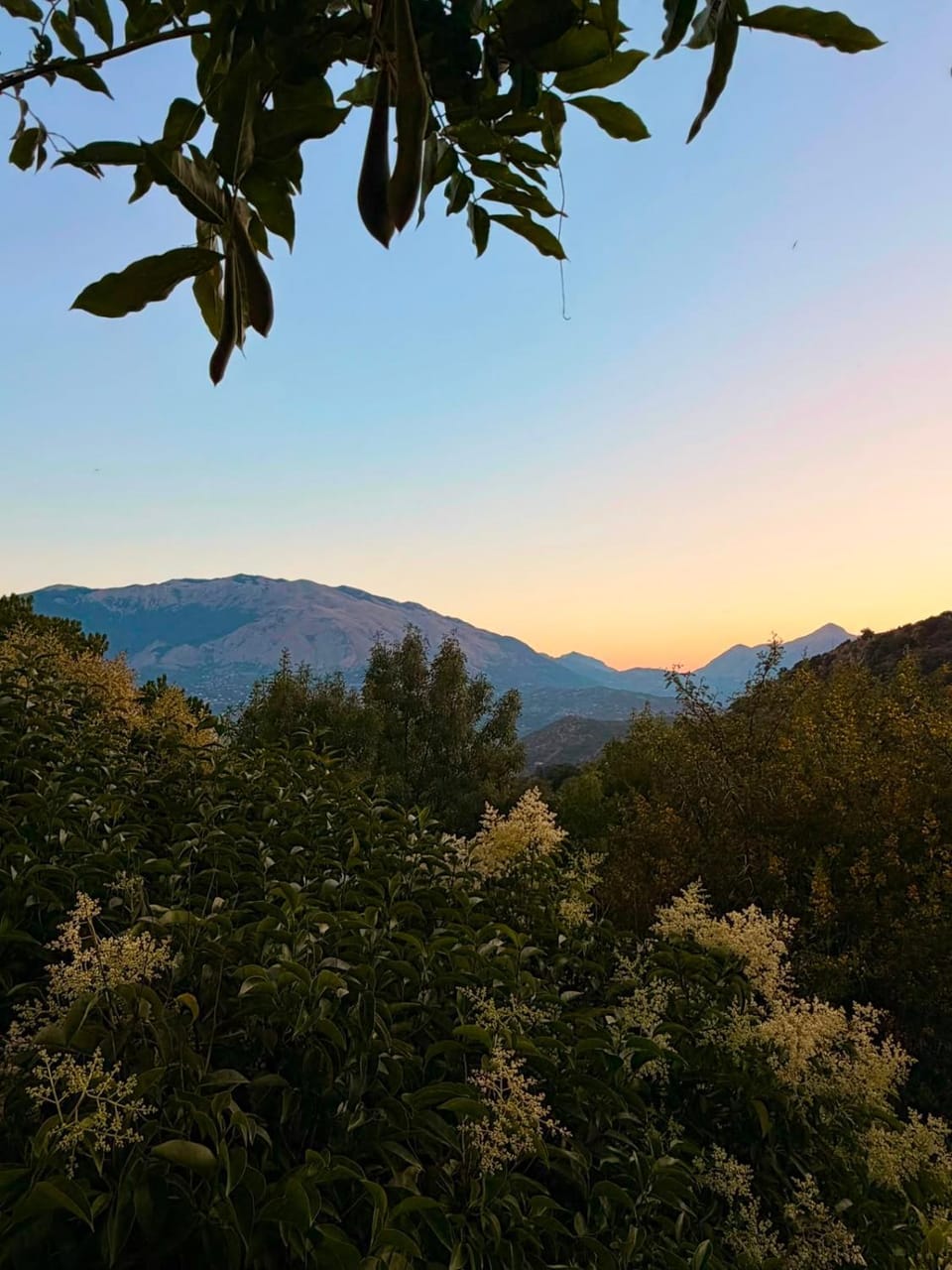 La Manna di Zabbra Country House in Sicily