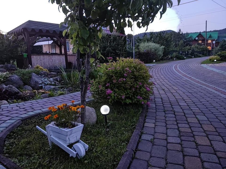Neighbourhood, Summer, Garden view