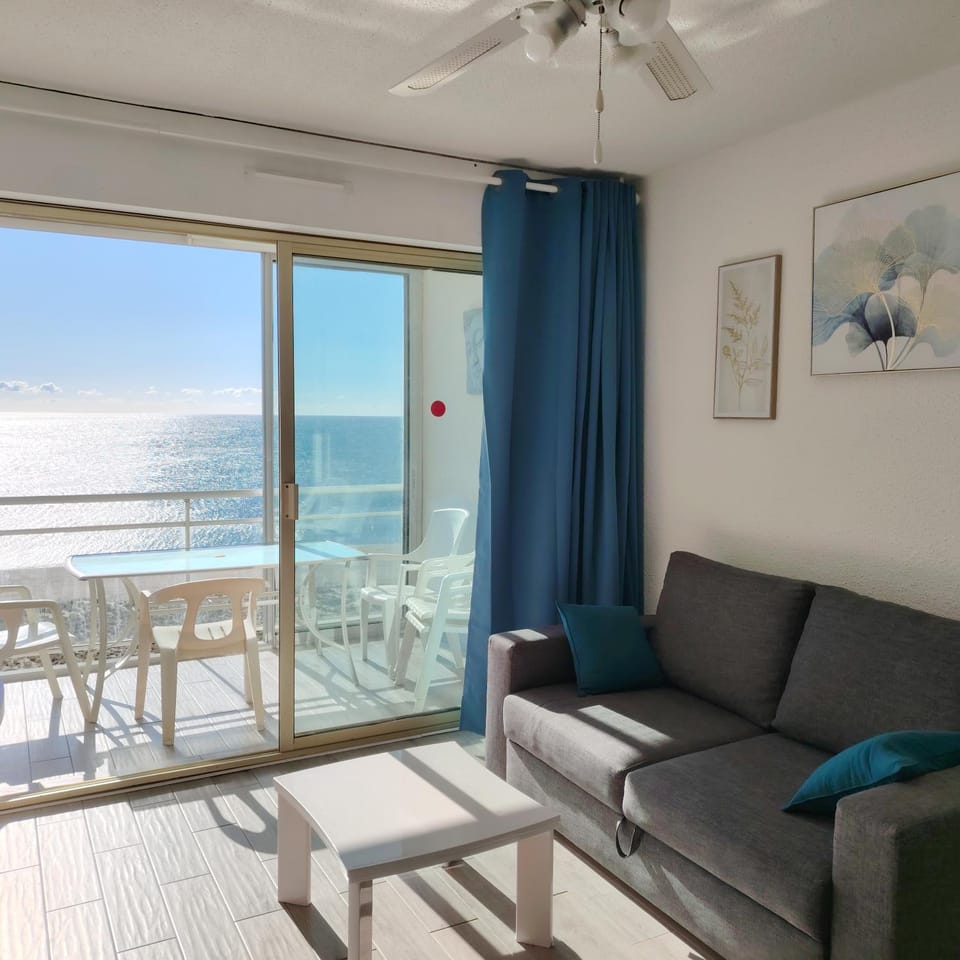 Appartement 3 pièces front de mer Apartment in Le Barcarès