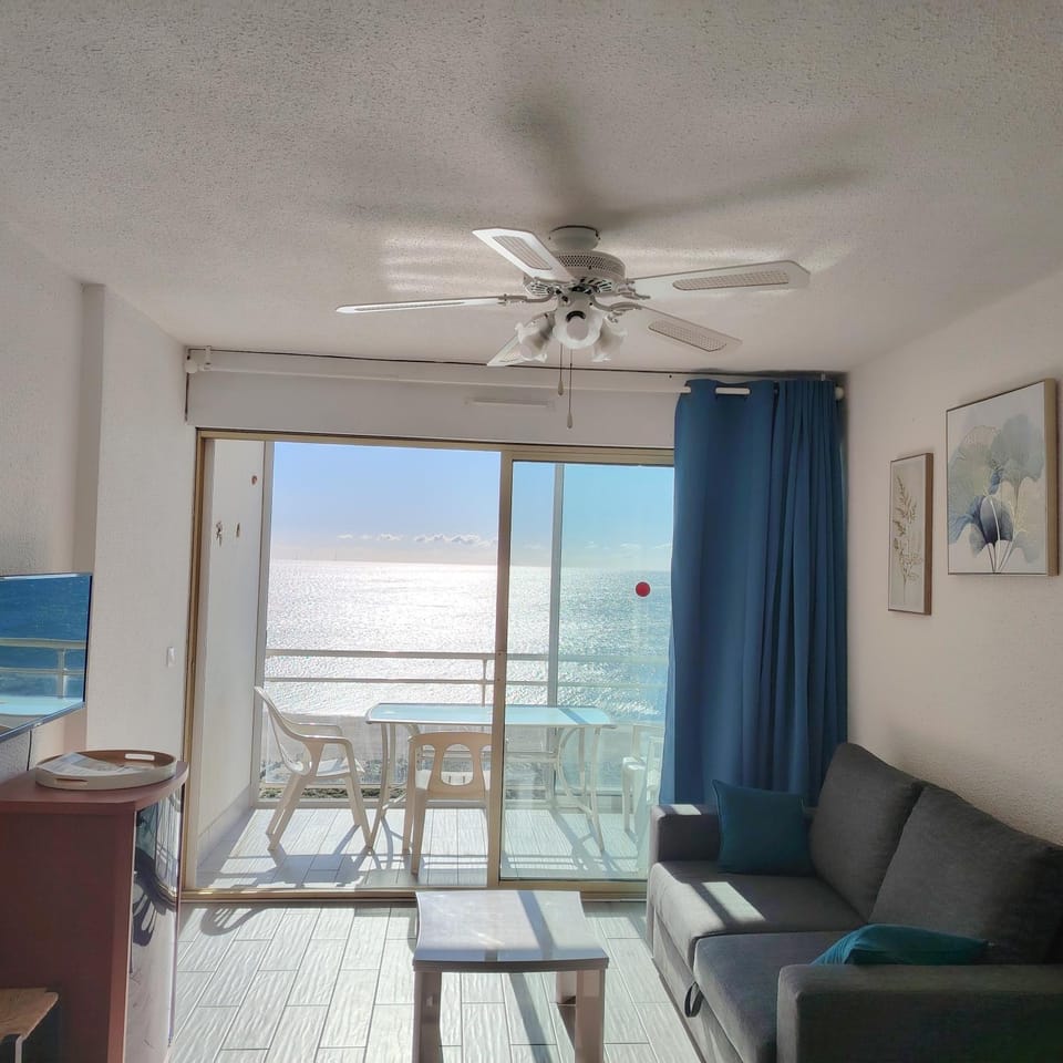 Appartement 3 pièces front de mer Apartment in Le Barcarès