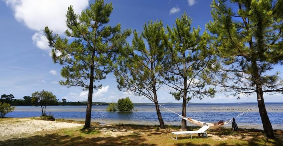 Chalet des dunes House in Sanguinet