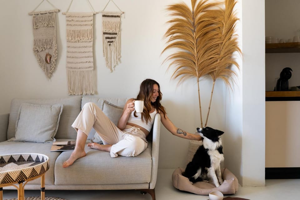 Animals, pet friendly