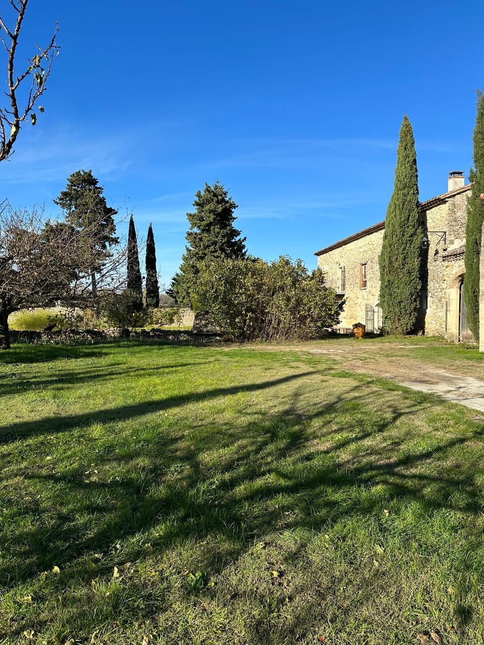 Day, Garden