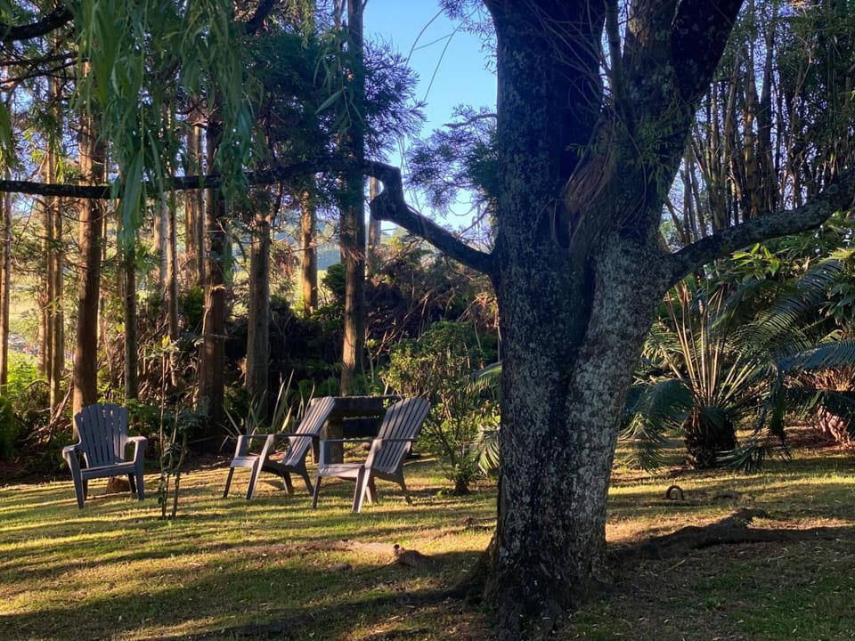 Natural landscape, sunbed