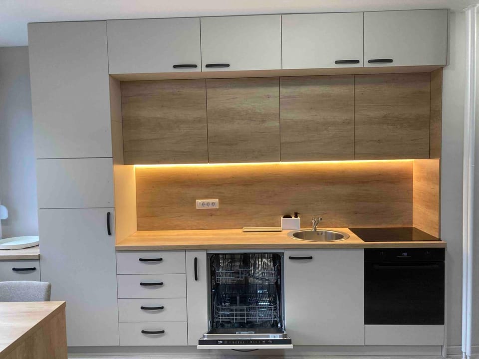 Kitchen or kitchenette, dishwasher, oven