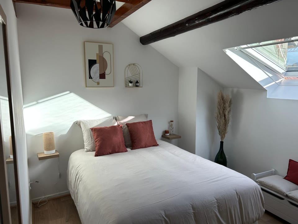 Le p'tit millésime - hypercentre Apartment in Epernay