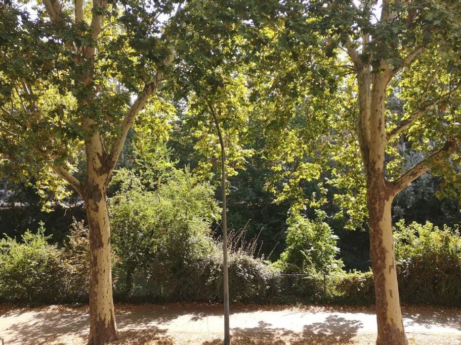 L'Élégance du Midi - climatisation réversible Apartment in Toulouse