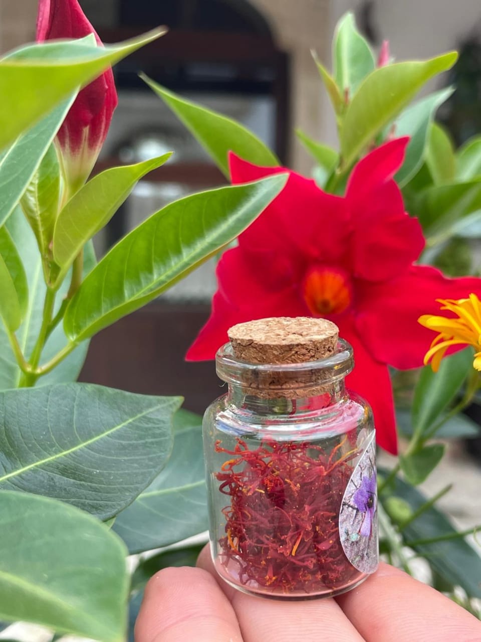 Oasi Rupestre Farm Stay in Basilicata