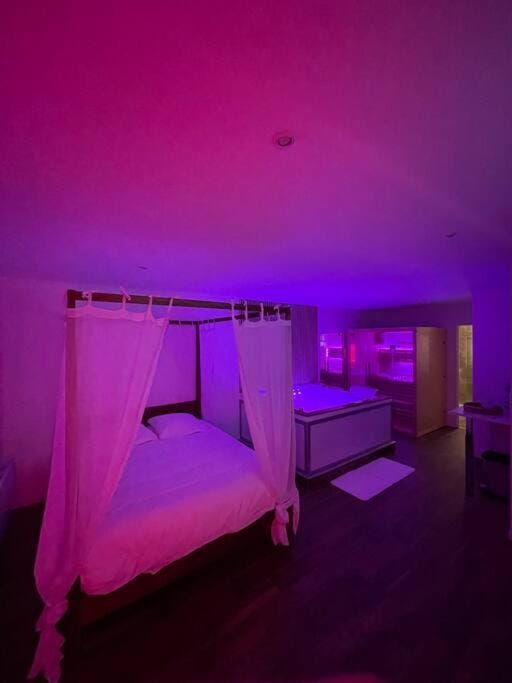 La Suite Bali Jacuzzi,Sauna,Netflix,Disney Apartment in Amiens
