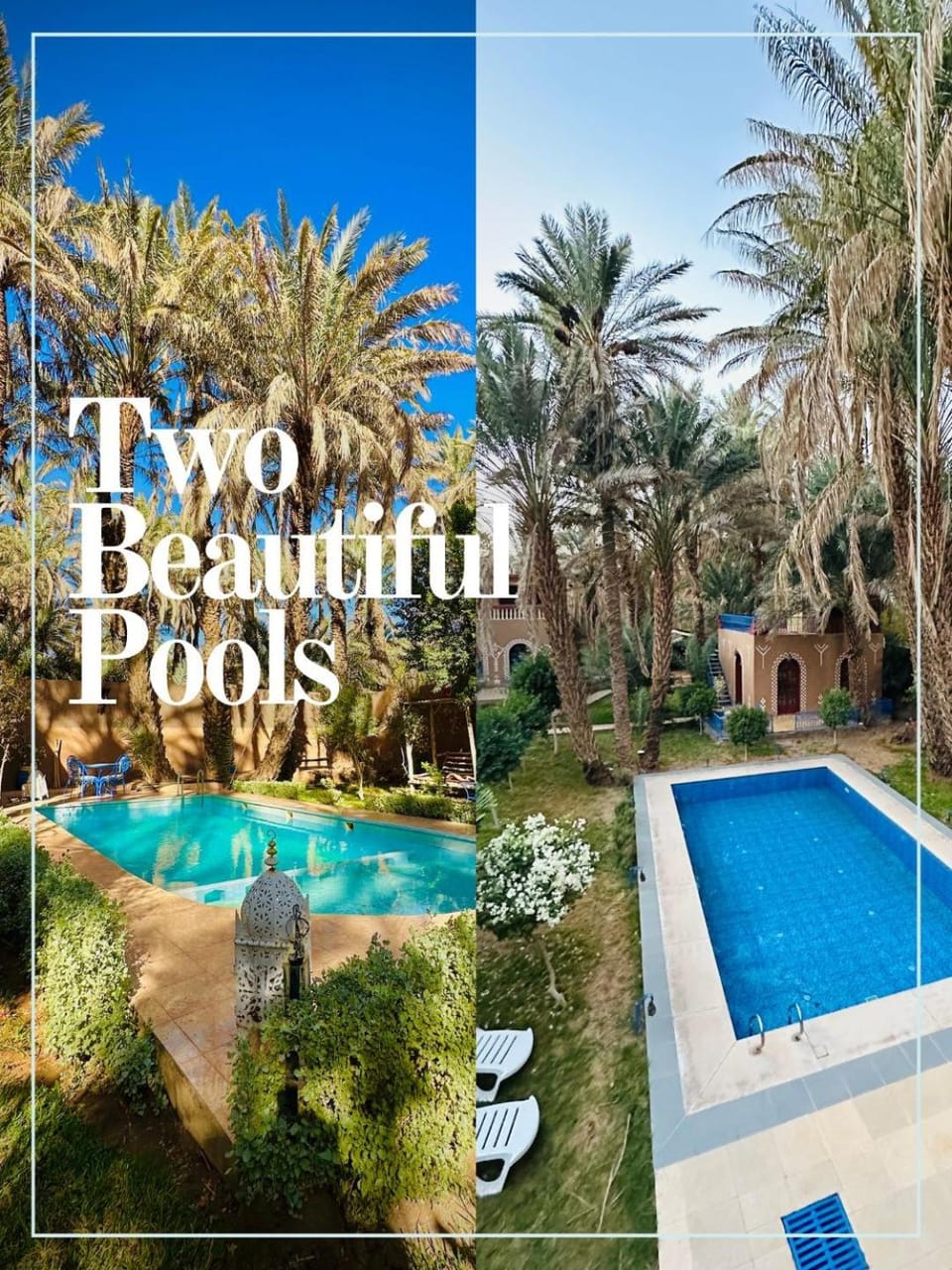 Garden, Garden view, Pool view, Swimming pool