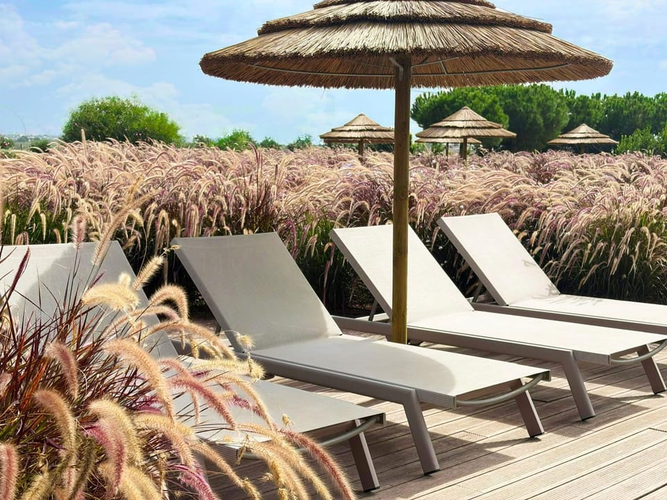 Natural landscape, Garden, View (from property/room), Garden view, Pool view, sunbed