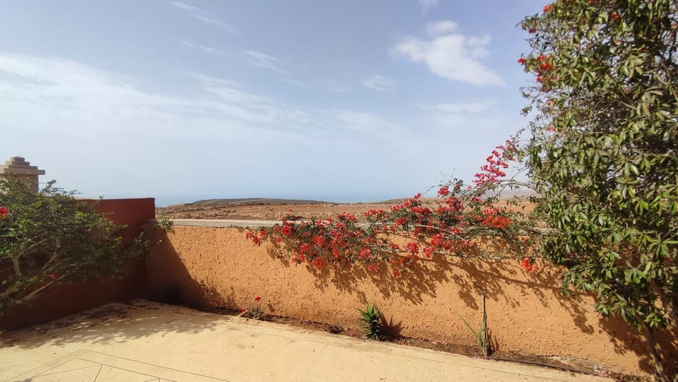Riad Al Afrah House in Souss-Massa