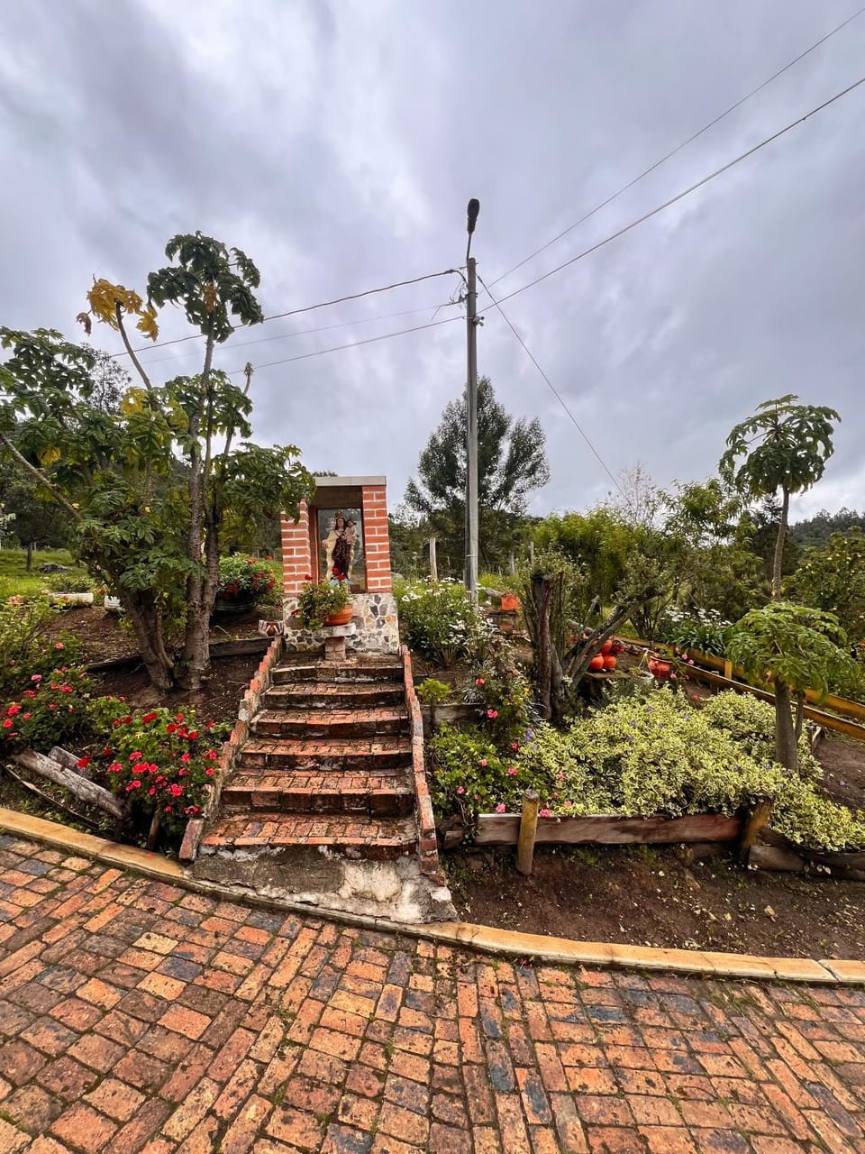 Garden, Garden view