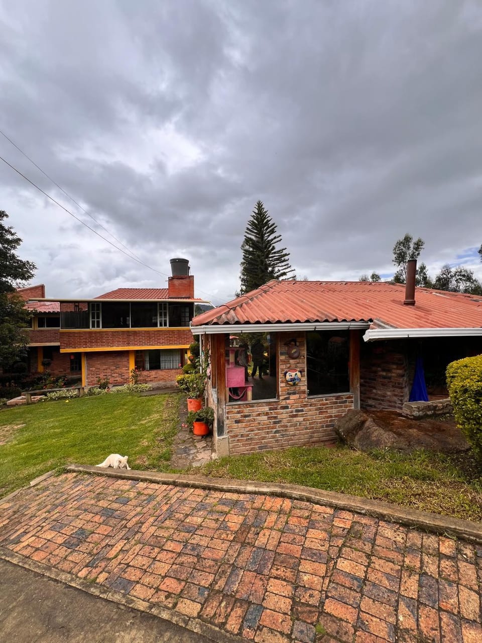 Property building, Garden, Garden view