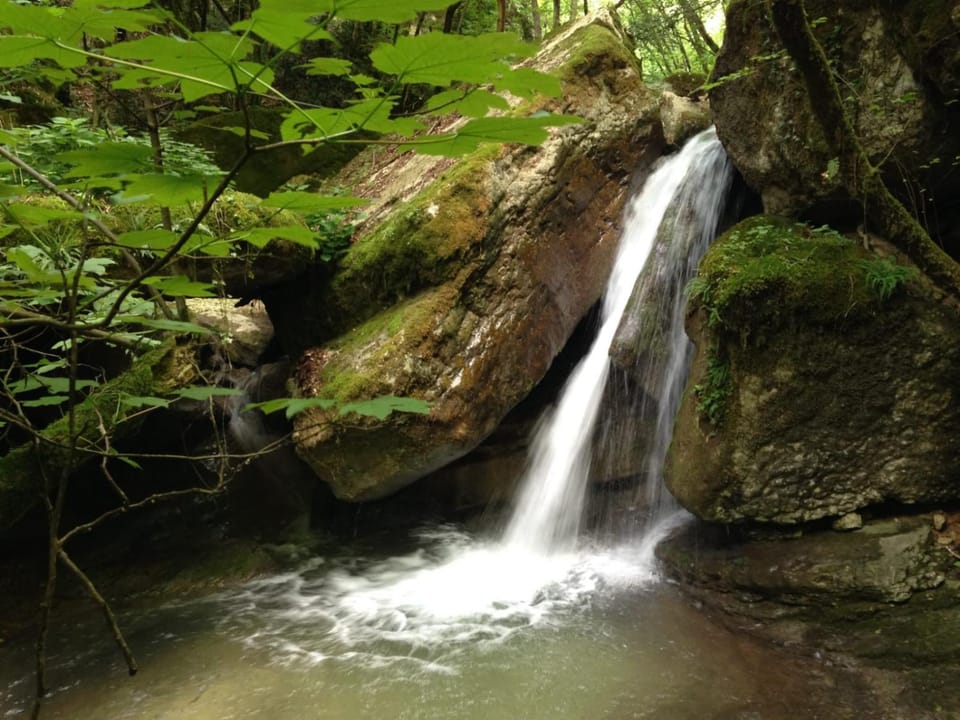 Natural landscape