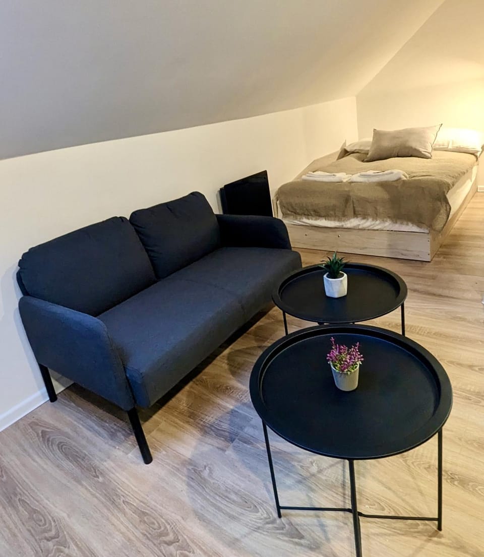 Bed, Living room, Photo of the whole room, Seating area, Bedroom