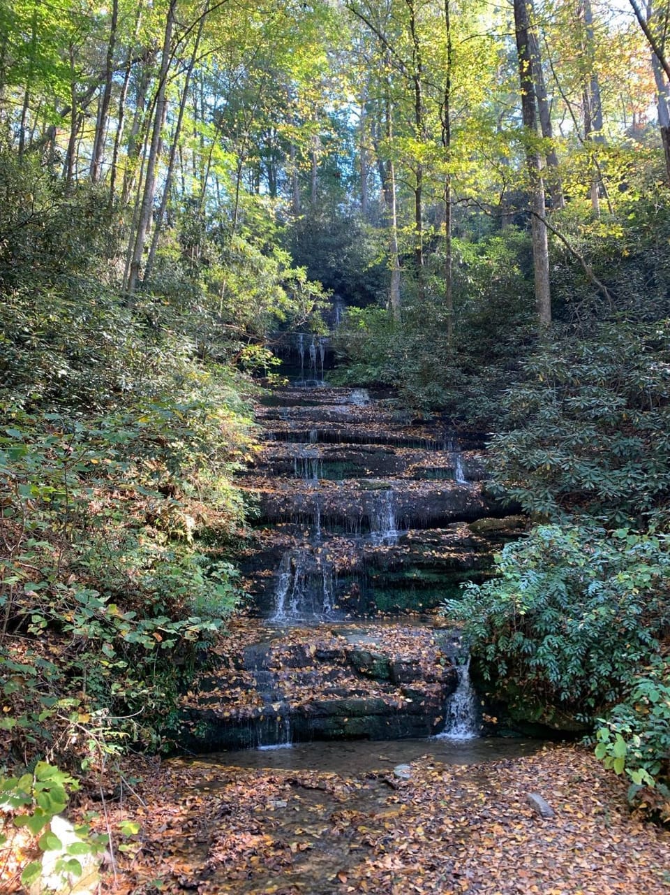 Natural landscape