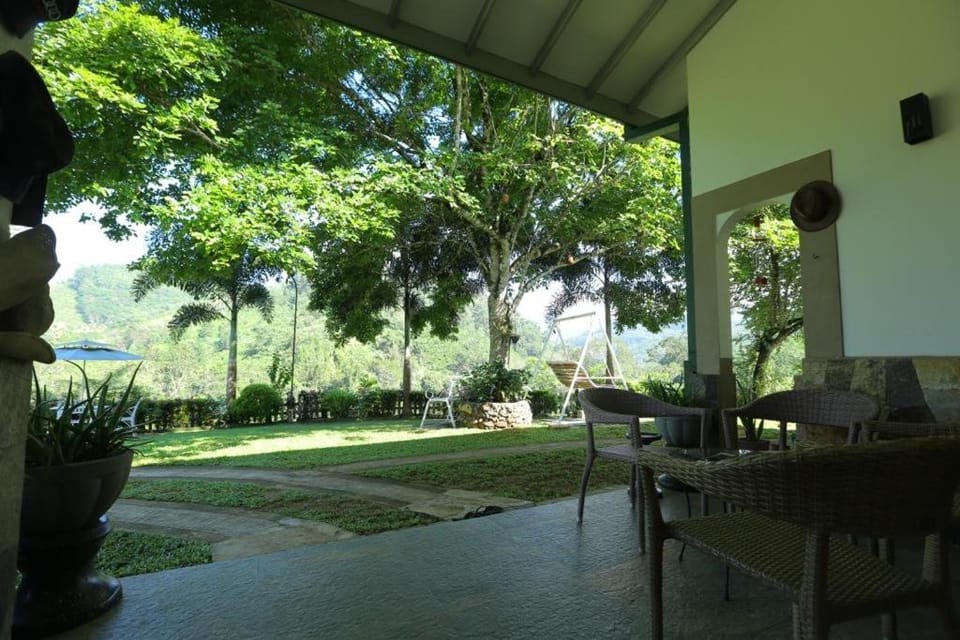 Garden view
