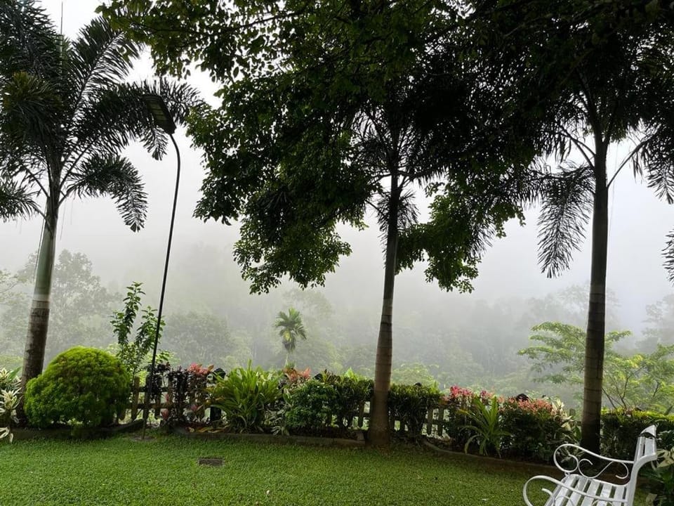Natural landscape