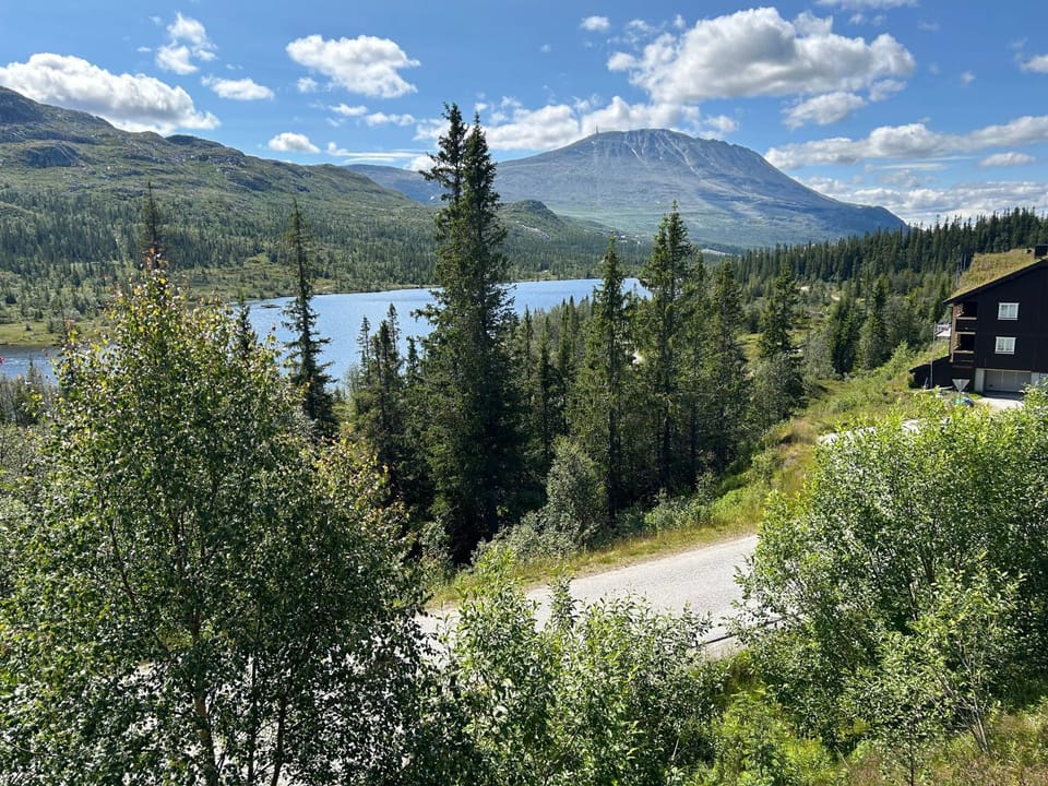 Mountain view