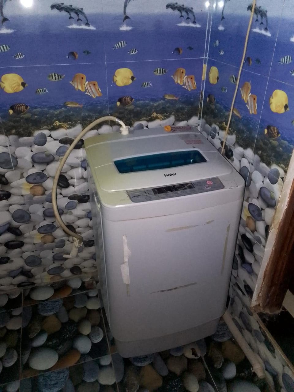 washing machine