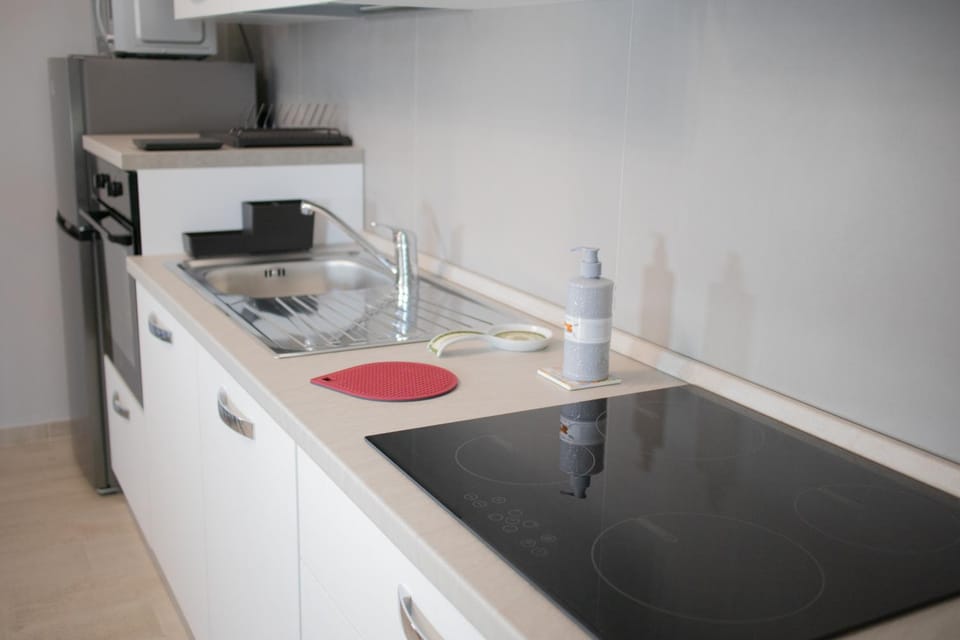 Kitchen or kitchenette, minibar, pet friendly, stove