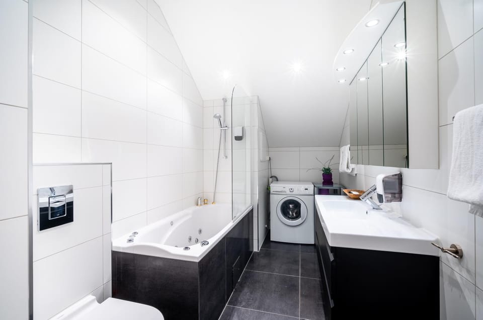 Shower, Toilet, Bed, Bathroom, Kitchen or kitchenette, Photo of the whole room, Bedroom, Bath, towels, washing machine, dryer