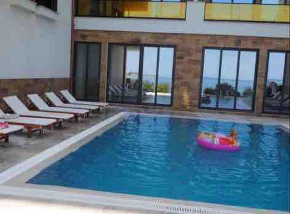 Pool view, Swimming pool, sunbed