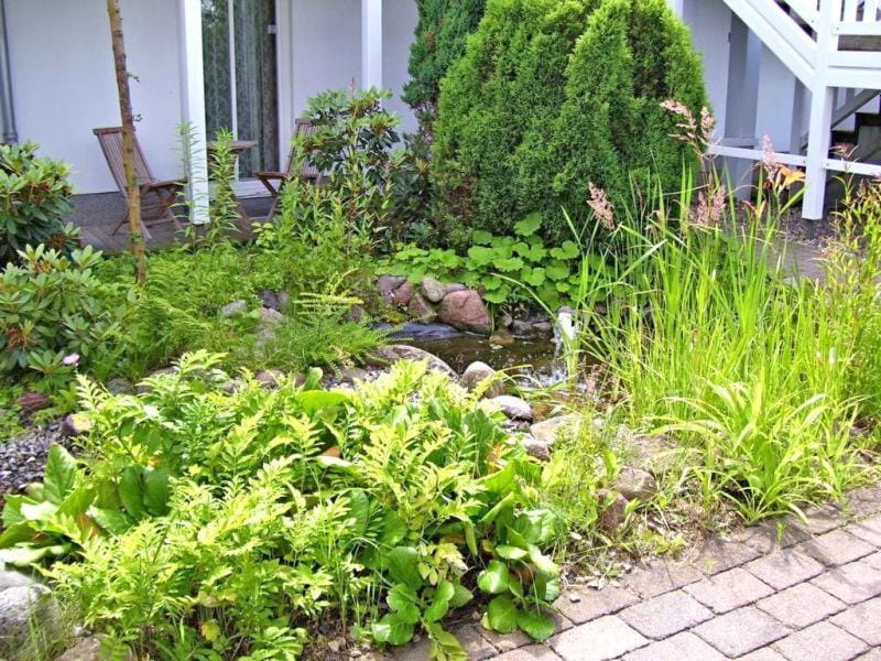 Am Stadtwald Apartment in Kühlungsborn