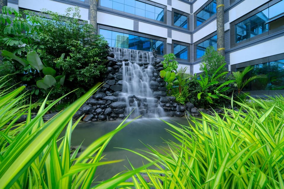 Garden, Aqua park, Garden view