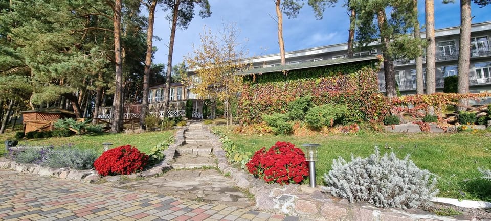 Property building, Natural landscape, Garden