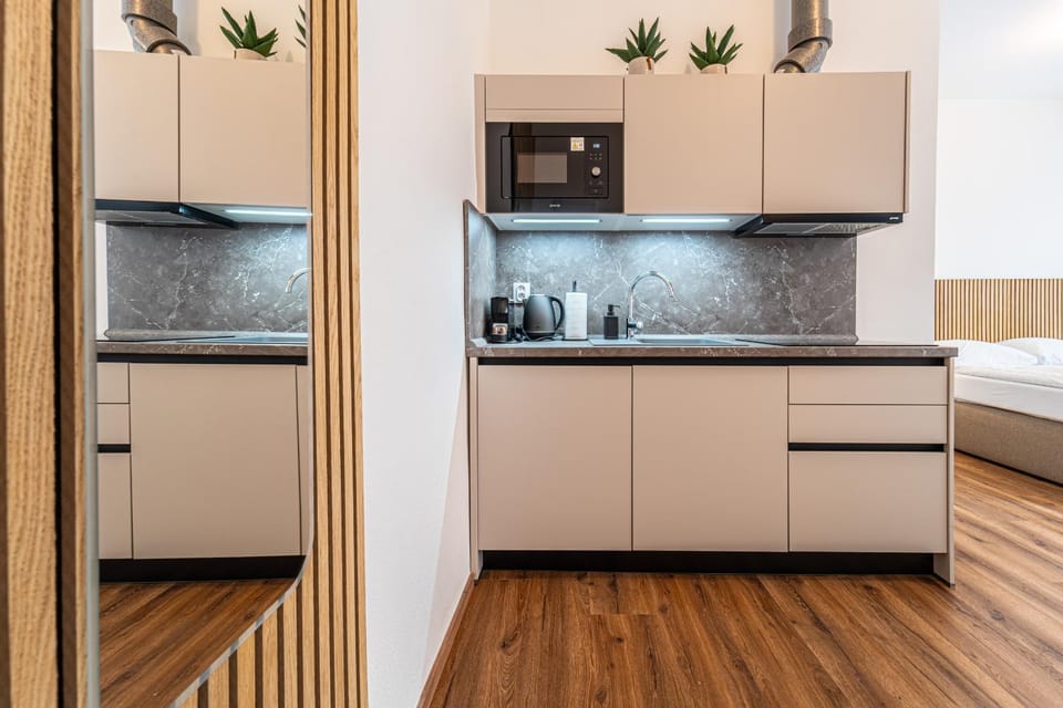 Design Apartments Lužánky Apartment in Brno