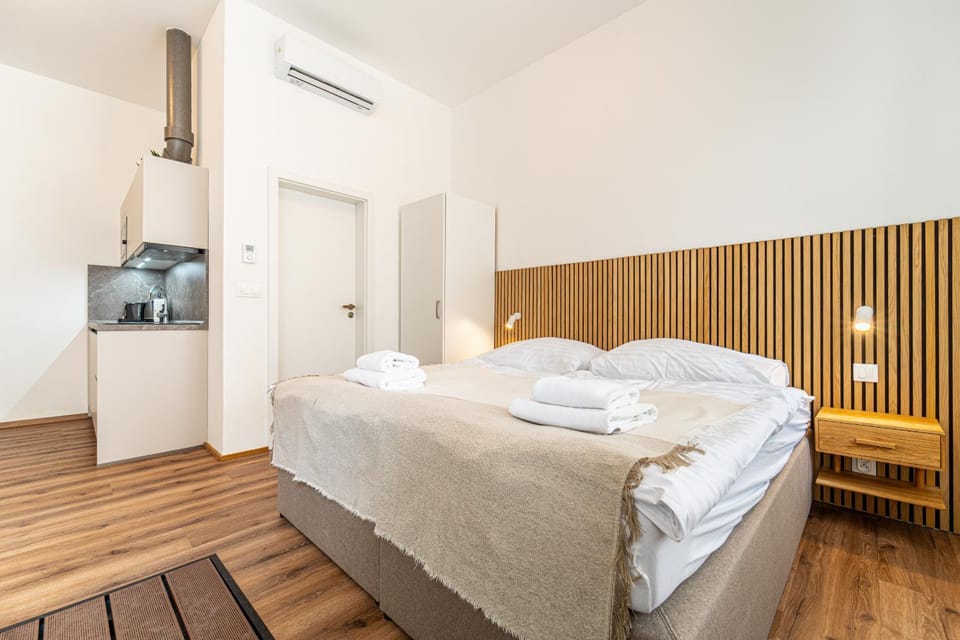 Design Apartments Lužánky Apartment in Brno