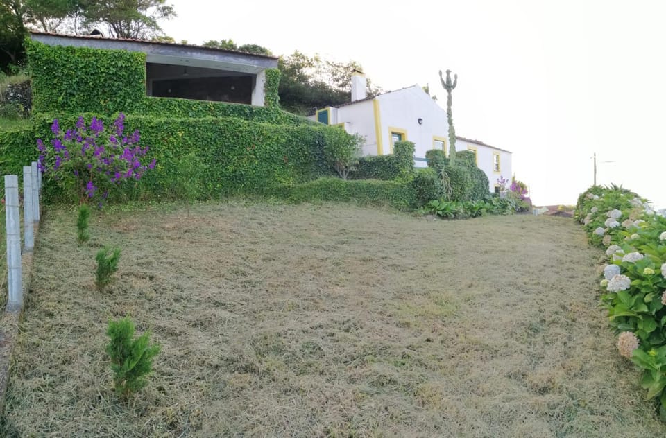 Cantinho da Terra Alta House in Azores District