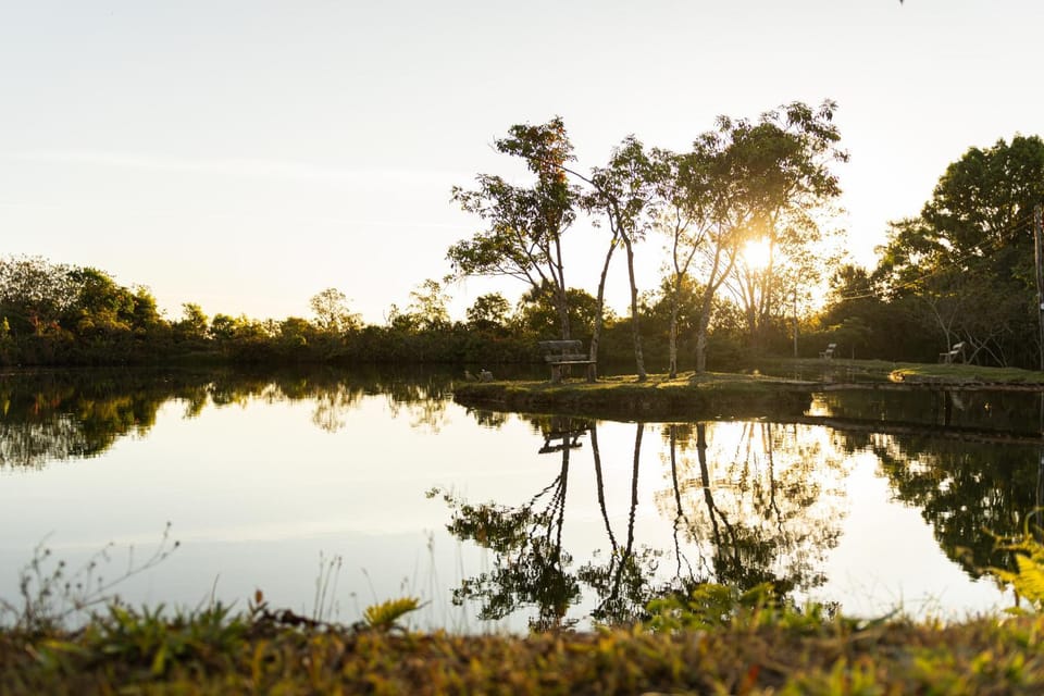 Natural landscape