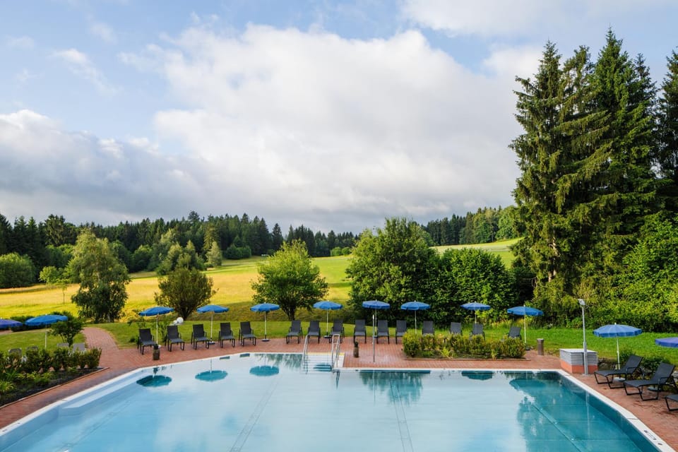 Natural landscape, Swimming pool, sunbed