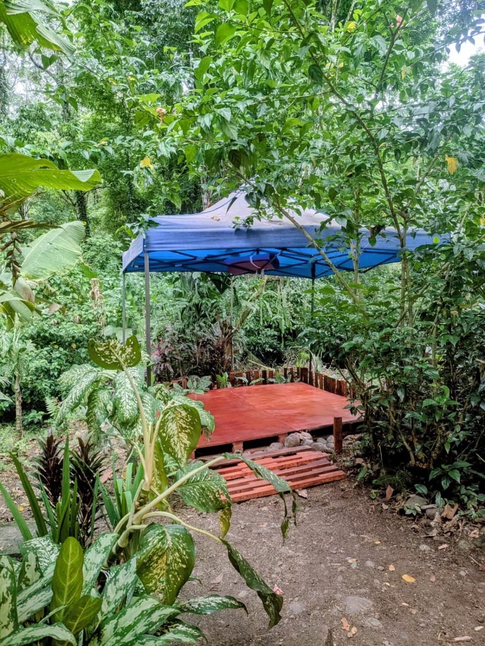 Smile Jungle Hostel Bed and Breakfast in Panama