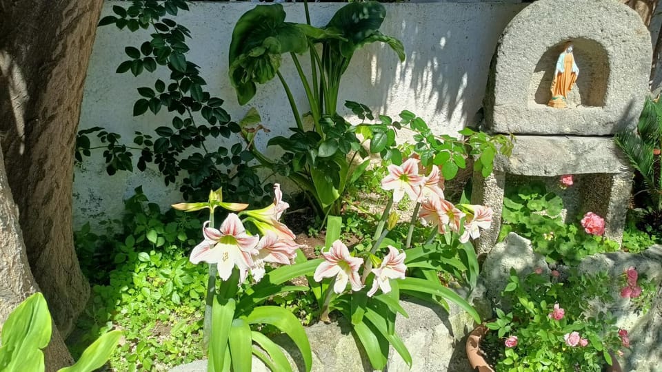 Suite Giulia Vacation rental in Forio