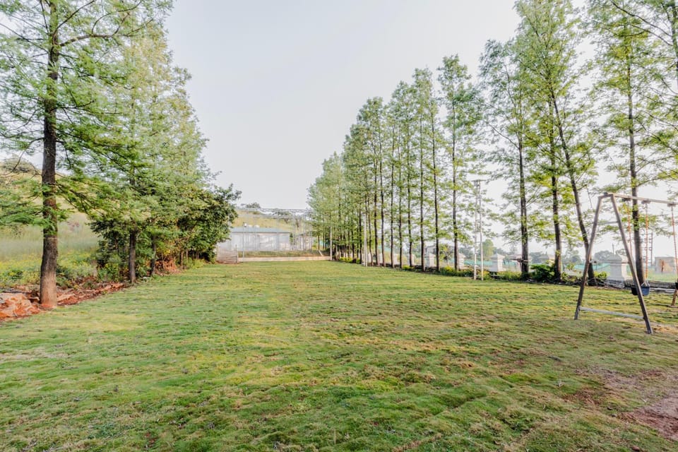 Day, Garden, Garden view