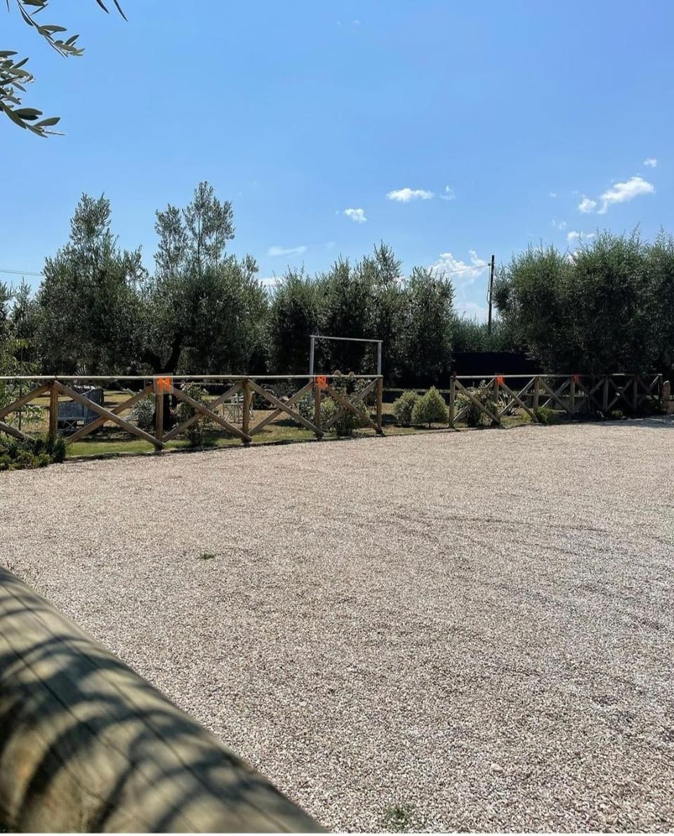 Pensione degli Ulivi Bed and Breakfast in Porto Sant'Elpidio