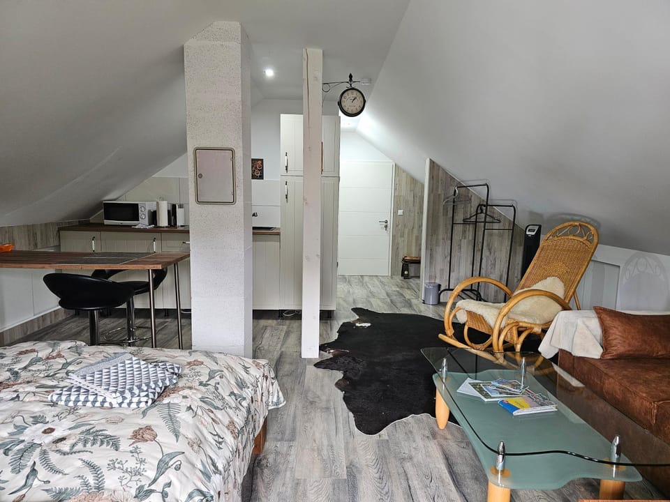 Aluston Apartment in Hanover