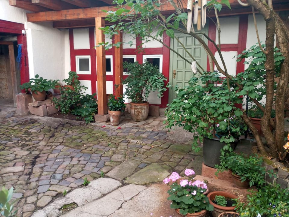 Garden view