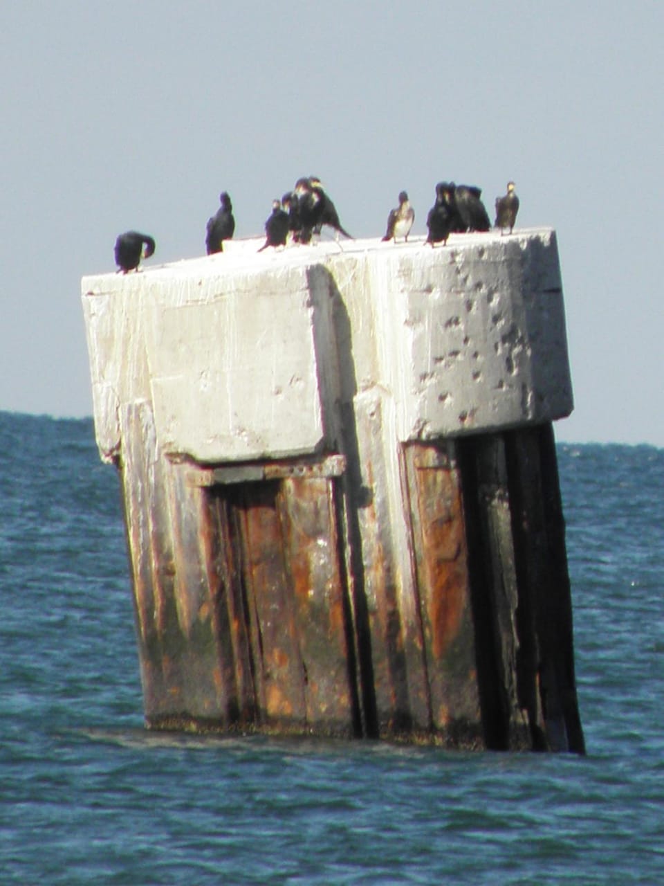 Sea view