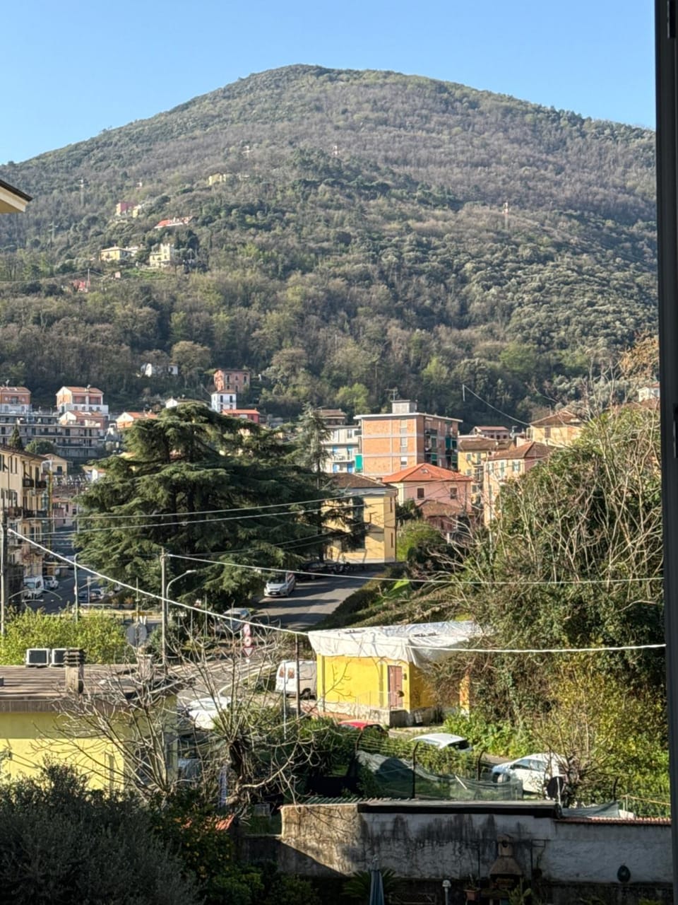 View (from property/room)