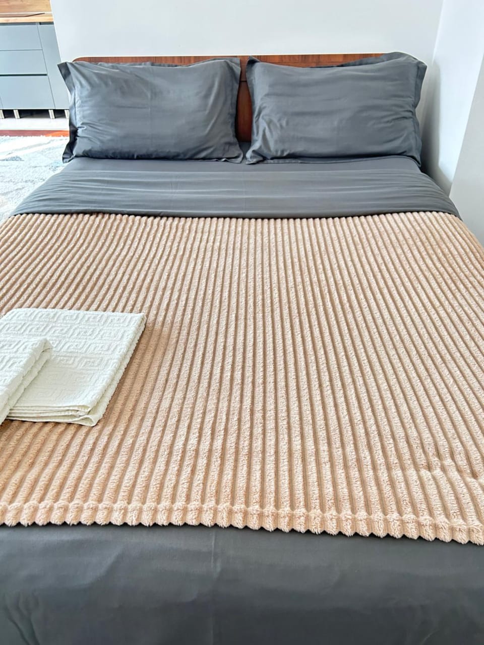 Квартира в районе Парка Горького Apartment in Almaty